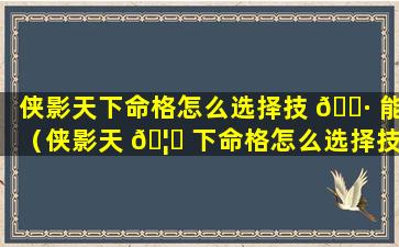 侠影天下命格怎么选择技 🌷 能（侠影天 🦟 下命格怎么选择技能点）